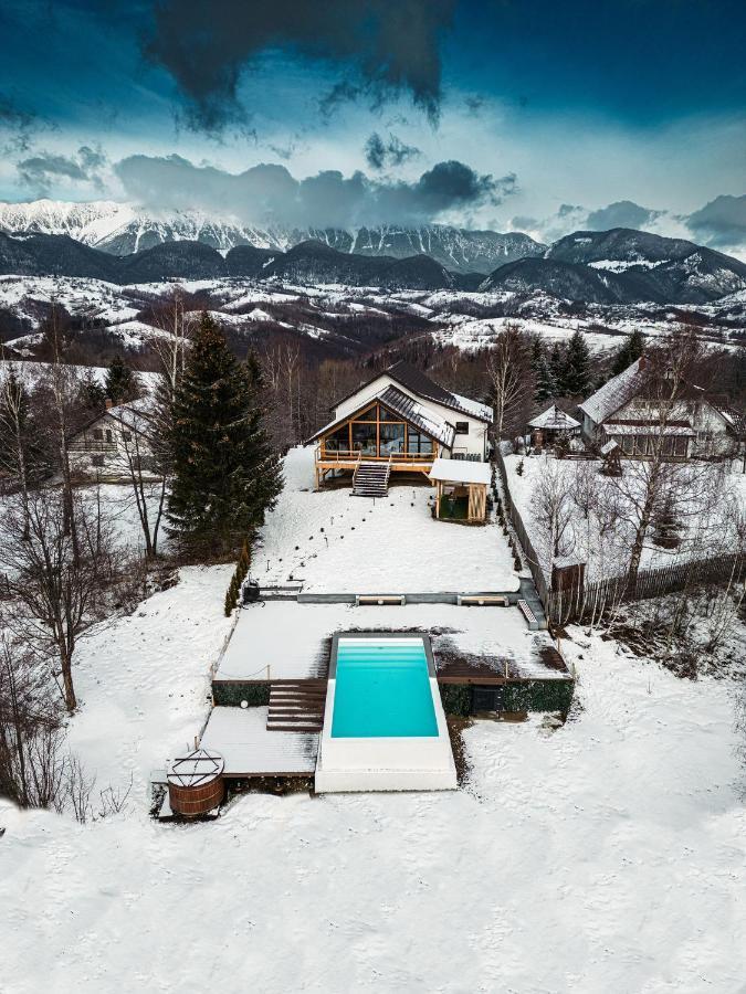 Villa Stockestate Moieciu à Moieciu de Jos Extérieur photo