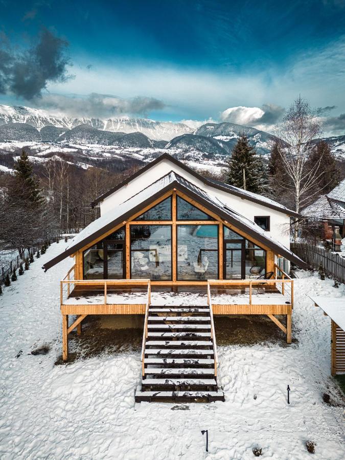 Villa Stockestate Moieciu à Moieciu de Jos Extérieur photo